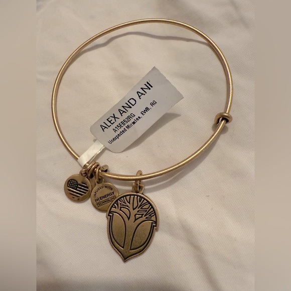 Unexpected Miracle Gold Bangle Bracelet - Picture 2 of 4